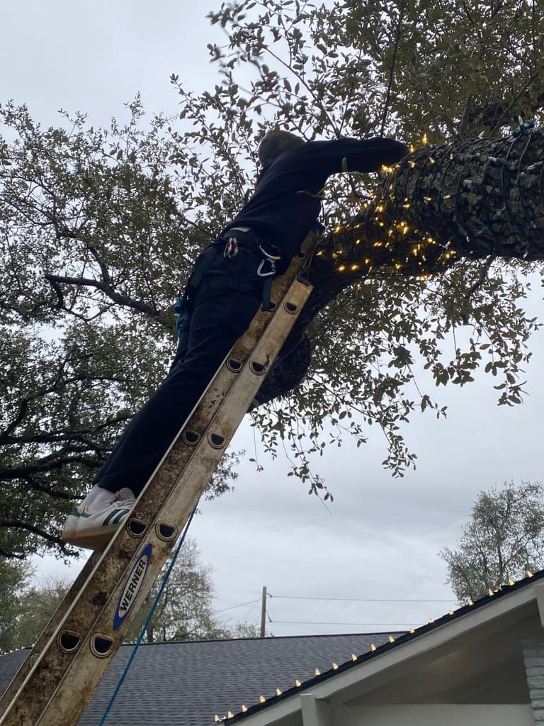 Installer on ladder doing professional light installation